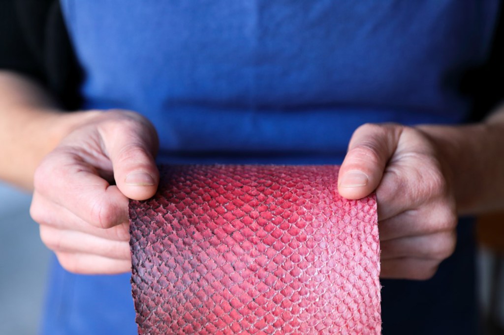 Quand les peaux de poissons deviennent du cuir&nbsp;marin